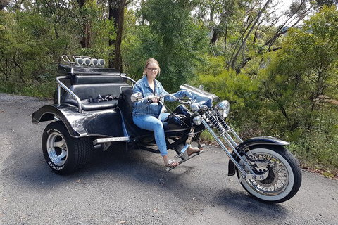 Blue Mountains 1-Hour Trike Tour Of Three Sisters - Attractions Perth 4