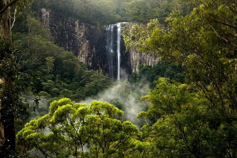 Hinterland Magic & Glow-worm Experience - Attractions Perth 4
