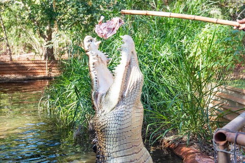 3 In 1 Tour: Matsoâ€™s Brewery, Broome Museum & Malcolm Douglas Crocodile Park - Attractions Perth 3