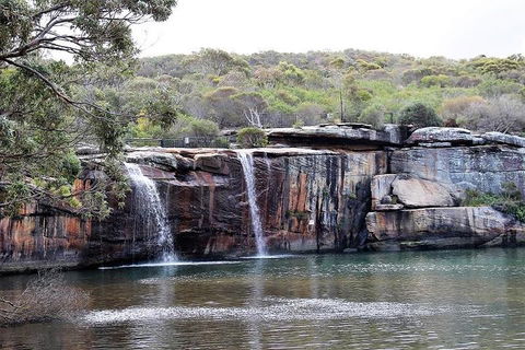 Royal National Park Tour - Attractions Perth 1