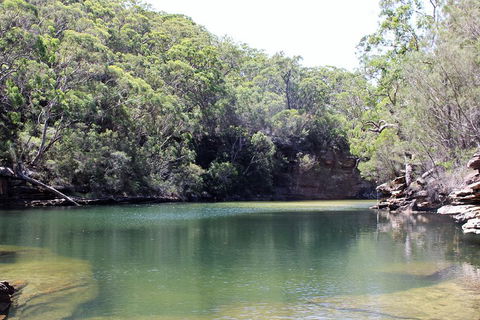 Royal National Park Tour - Attractions Perth 5