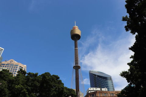 Private Sydney City Customized Tour - Attractions Perth 0