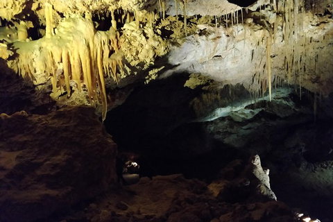 The Pinnacle Adventure Tour - Attractions Perth 2