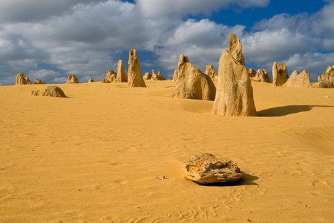 The Pinnacles, Sea And Dunescapes, Bush Reserve And Sunset Day Tour - Attractions Perth 0