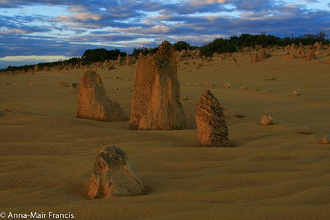 The Pinnacles, Sea And Dunescapes, Bush Reserve And Sunset Day Tour - Attractions Perth 1