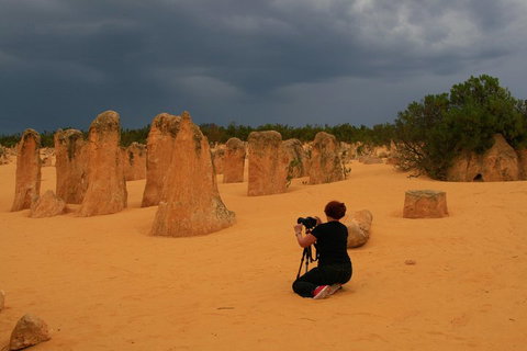 The Pinnacles, Sea And Dunescapes, Bush Reserve And Sunset Day Tour - Attractions Perth 2