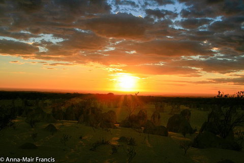 The Pinnacles, Sea And Dunescapes, Bush Reserve And Sunset Day Tour - Attractions Perth 3