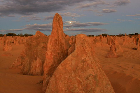 The Pinnacles, Sea And Dunescapes, Bush Reserve And Sunset Day Tour - Attractions Perth 4