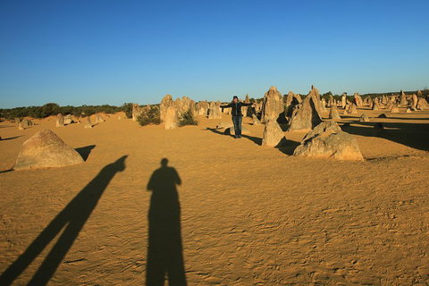 The Pinnacles, Sea And Dunescapes, Bush Reserve And Sunset Day Tour - Attractions Perth 5