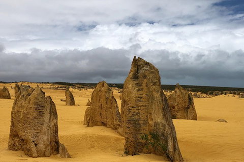 Private Pinnacles Day Tour - Attractions Perth 1