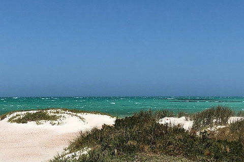 Private Pinnacles Day Tour - Attractions Perth 2