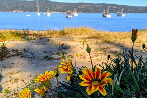 Central Coast Explorer With 'Personalised Sydney Tours' - Attractions Perth 2