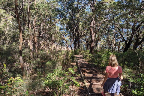 Central Coast Explorer With 'Personalised Sydney Tours' - Attractions Perth 4