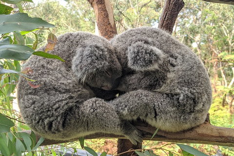 Central Coast Explorer With 'Personalised Sydney Tours' - Attractions Perth 5