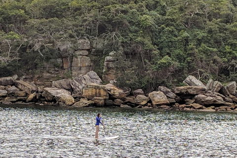 Manly & Sydney's Northern Beaches With 'Personalised Sydney Tours' - Attractions Perth 3