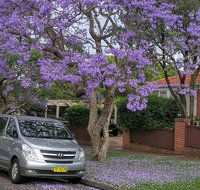 Sydney Secrets  Bondi Beach Private 4 Hr Morning with Personalised Sydney Tours - Attractions Perth