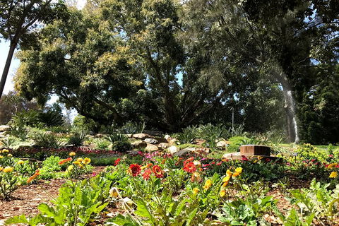 Discover Sydney - Botanic - Attractions Perth 3