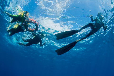 Passions Of Paradise Great Barrier Reef Snorkel And Dive Cruise From Cairns By Luxury Catamaran - Attractions Perth 2