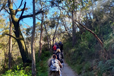 Self-Guided Waterfall Gully To Mount Lofty Hike From Adelaide - Attractions Perth 1