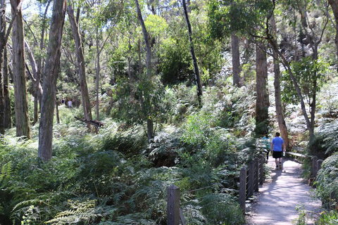 Self-Guided Waterfall Gully To Mount Lofty Hike From Adelaide - Attractions Perth 2