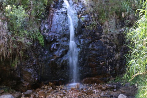 Self-Guided Waterfall Gully To Mount Lofty Hike From Adelaide - Attractions Perth 5