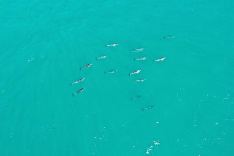 Port Macquarie Express VIP Private Flight - 15 Min - Attractions Perth 3