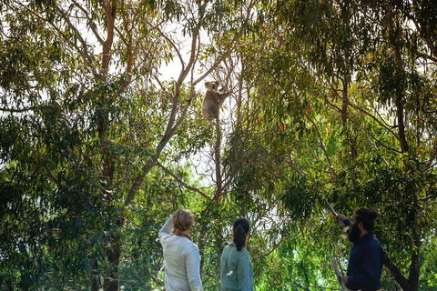 LGBT+ Friendly 3 Day Tour The Grampians, Daylesford & Ballarat - Attractions Perth 4
