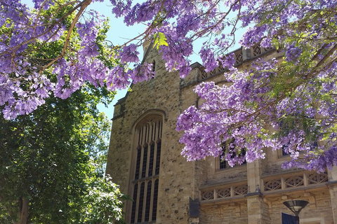 Cultural Caper Adelaide Walking Tour - Attractions Perth 1