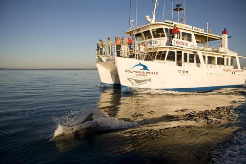 Jervis Bay Dolphin Watch Cruise - Attractions Perth 3