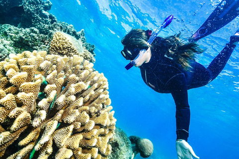 Green Island Day Trip From Cairns - Attractions Perth 1