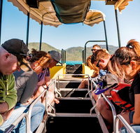 Airlie Beach Glass Bottom Boat Tour - Attractions Perth