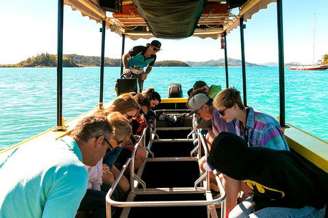 Airlie Beach Glass Bottom Boat Tour - Attractions Perth 1