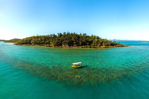 Airlie Beach Glass Bottom Boat Tour - Attractions Perth 3