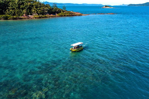 Airlie Beach Glass Bottom Boat Tour - Attractions Perth 4