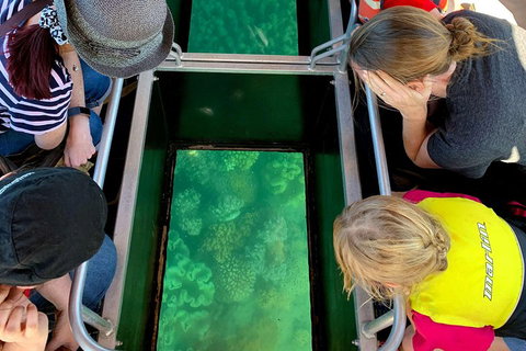 Airlie Beach Glass Bottom Boat Tour - Attractions Perth 5