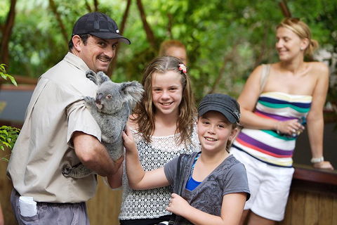 Hartley's Crocodile Adventure Half-Day Tour - Attractions Perth 3