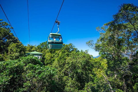 Skyrail Rainforest Cableway Day Trip From Cairns - Attractions Perth 1