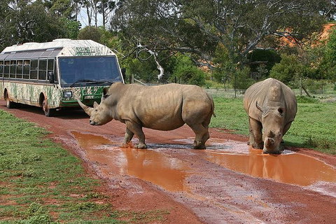 The Ultimate Melbourne Attractions Pass - Attractions Perth 4