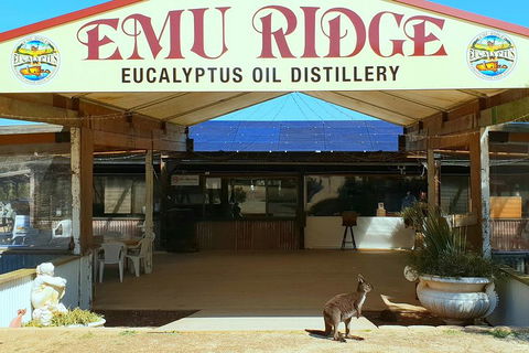 Full-Day Kangaroo Island Safari From Penneshaw - Attractions Perth 2