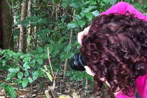 Let's Go Buggin & Let's Go Shroomin - Photography & Nature Walking Tours - Attractions Perth 1