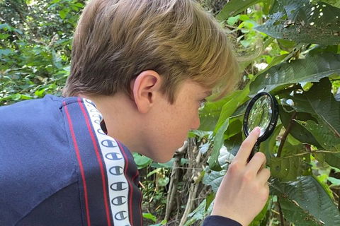 Let's Go Buggin & Let's Go Shroomin - Photography & Nature Walking Tours - Attractions Perth 3