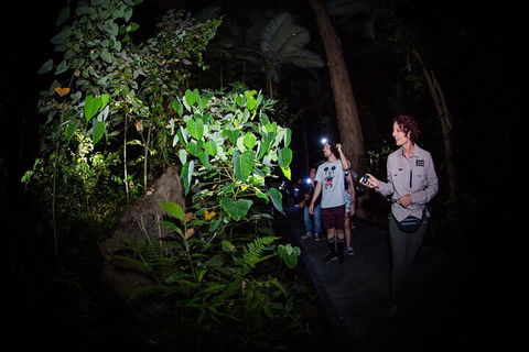 Let's Go Buggin & Let's Go Shroomin - Photography & Nature Walking Tours - Attractions Perth 4