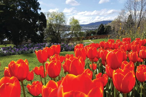 Hobart Half-Day Sightseeing Coach Tram Tour - Attractions Perth 4