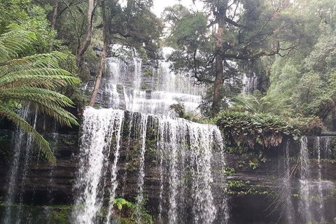 6-Day Hearty Tasmania Tour (Tasmania In A Circle) - Attractions Perth 0