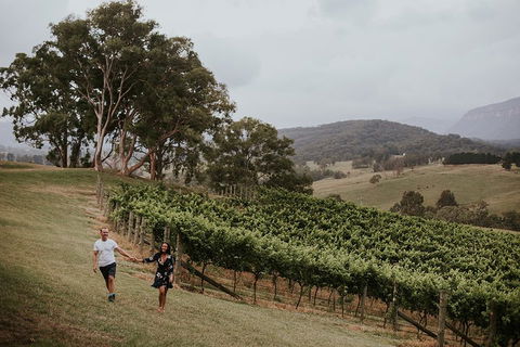 Luxury Blue Mountains Tour With Aussie BBQ Lunch And Wine Tasting - Attractions Perth 3