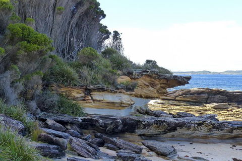 Day Trip To Cronulla & The Royal National Park - Attractions Perth 4