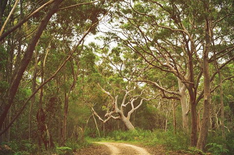 Day Trip To Cronulla & The Royal National Park - Attractions Perth 5