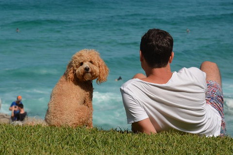 See Sydney With A Local: Private & Personalized - Attractions Perth 5