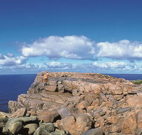 4 Day Tour Albany Margaret River Valley of the Giants TreeTop Walk from Perth - Attractions Perth