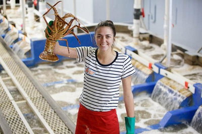 Pinnacles Desert Koalas and Sandboarding 4WD Day Tour from Perth